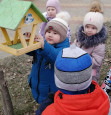 Кормим птиц зимой