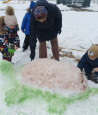Снежная сказка
