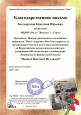 Представление опыта работы