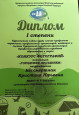 Представление опыта работы