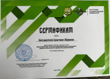 Представление опыта работы