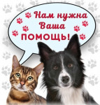 Акции "Уроки добра"