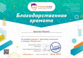 Организатор конкурсов.