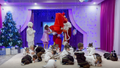 Новогодний утренник "Волшебные краски"