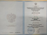 Диплом о высшем профессиональном образовании (учитель начальных классов)