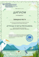 Всероссийский уровень 2
