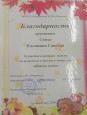 Муниципальный уровень 