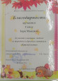 Муниципальный уровень 