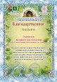 Районный уровень