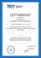 Экспертная деятельность