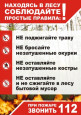 Правила безопасности в лесу