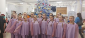 Танцевальный коллектив Топотушки, призёры Российского конкурса-фестиваля "Снежная сказка"