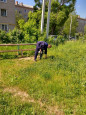 3 июня начал работу трудовой отряд.