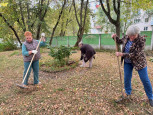 Коллектив Центра присоединился к Всероссийской акции «Зеленая Россия»