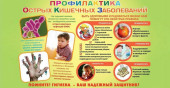ПРОФИЛАКТИКА ОСТРЫХ КИШЕЧНЫХ ИНФЕКЦИЙ