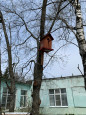 Творчество воспитаников