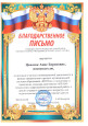 Транслирование опыта профессиональной деятельности