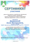 Единый день РМО Киренского района "пРоМокОд"