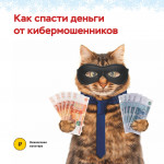 как спасти деньги от кибермошенников 
