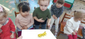 Художественно- эстетическое развитие( Лепка). "Сороконожка"