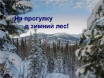 НОД по экологическому воспитанию "Прогулка в зимний лес"