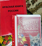 Семинар для педагогов
