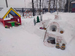 Всероссийский конкурс на лучший «Снежный городок Эколят» 