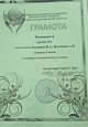 Экологический уголок в группе