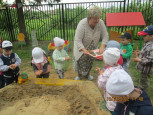НОД«Прогулка в песочницу с «Ёлочкой» и «Колобком»