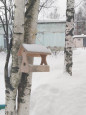 Всероссийский конкурс на лучший «Снежный городок Эколят» 