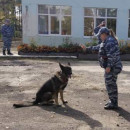 Знакомство с работой кинологической службы