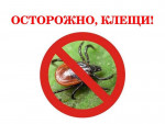Памятки "Осторожно, клещи!"