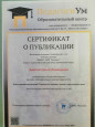 Транслирование в педагогических коллективах опыта практических результатов 