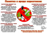 Профилактическая беседа по борьбе с наркотиками