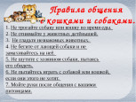 Акция «Безопасность детства»