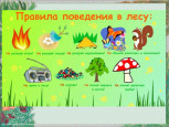 Правила безопасного поведения на природе