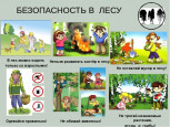 Правила безопасного поведения на природе