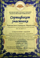 Участие преподавателей в VI Всероссийской научно-практической конференции 