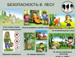 Правила безопасности в лесу