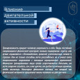 Здоровый образ жизни и его составляющие