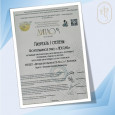 Всероссийский конкурс инструментального и вокального творчества «Симфония талантов» 