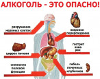 Антиалкогольная кампания