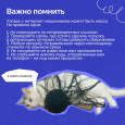 Осторожно! Мошенники