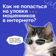 Осторожно! Мошенники