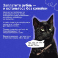 Осторожно! Мошенники