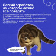 Осторожно! Мошенники