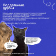 Осторожно! Мошенники