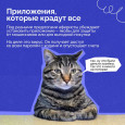 Осторожно! Мошенники