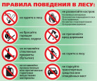 Безопасность детства "Берегите лес от пожара"