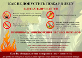 Безопасность детства "Берегите лес от пожара"